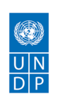 UNDP logo