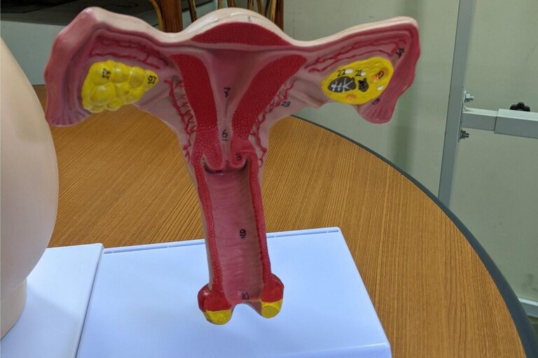 Galerie - menstruační zdraví Kambodža